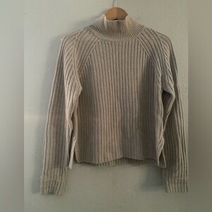 Everlane Beige Ribbed Turtleneck Sweater